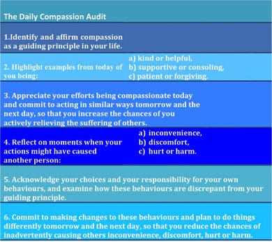 compassion audit